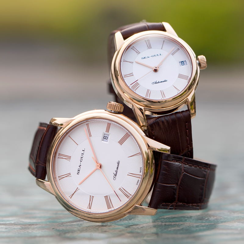 Seagull-男性と女性のためのメカニカル腕時計,プロフェ - Omega Watch Constellation のレビューと価格